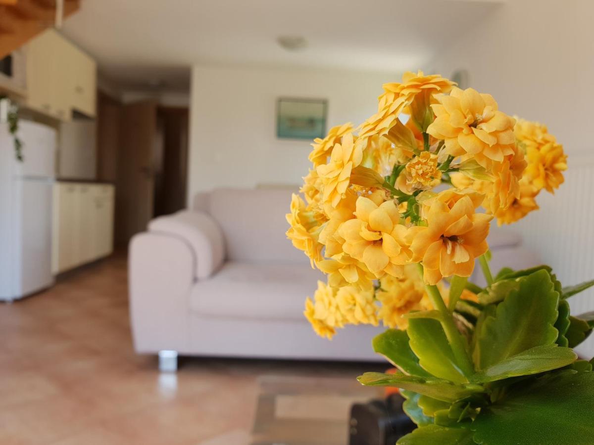 Apartments Skocic Vodice Ngoại thất bức ảnh