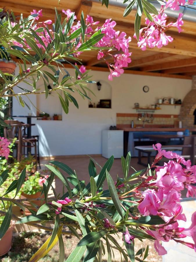Apartments Skocic Vodice Ngoại thất bức ảnh