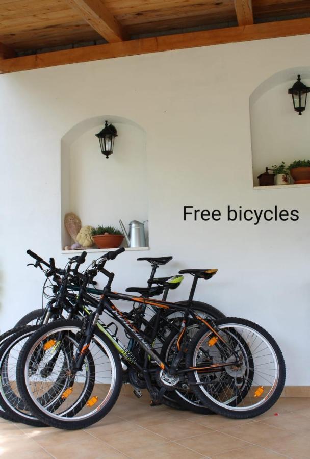 Apartments Skocic Vodice Ngoại thất bức ảnh